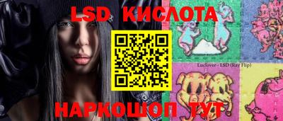 spice Кингисепп