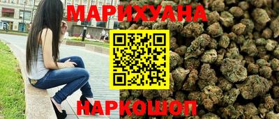 spice Кингисепп