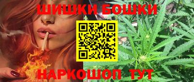 spice Кингисепп